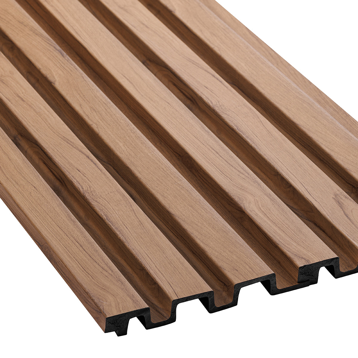 CHESTNUT | New launch